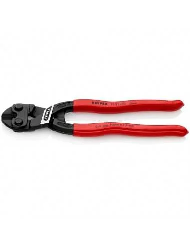 2026_06_08_29498