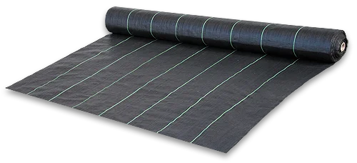 4o2hpcsjtpb20260606045535277427
