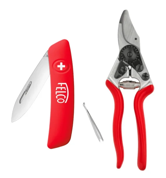 bcpwnyp0cdy20260606080326295332